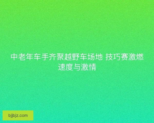 中老年车手齐聚越野车场地 技巧赛激燃速度与激情